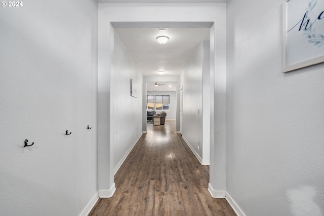 hall with hardwood / wood-style floors