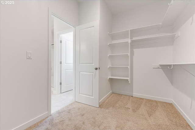 walk in closet featuring light carpet