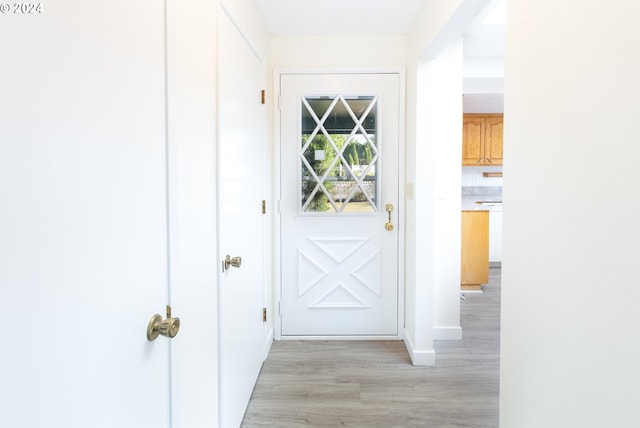 doorway to outside featuring light wood-type flooring