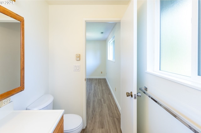 bathroom featuring vanity, toilet, and wood-type flooring