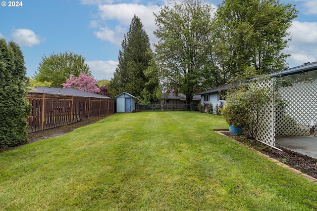 view of yard with a storage shed