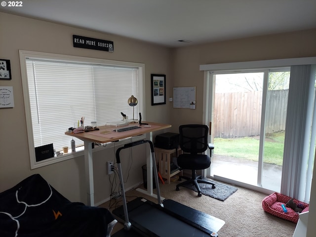 exercise area featuring carpet floors