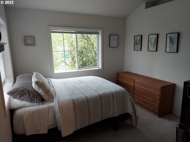 bedroom with carpet