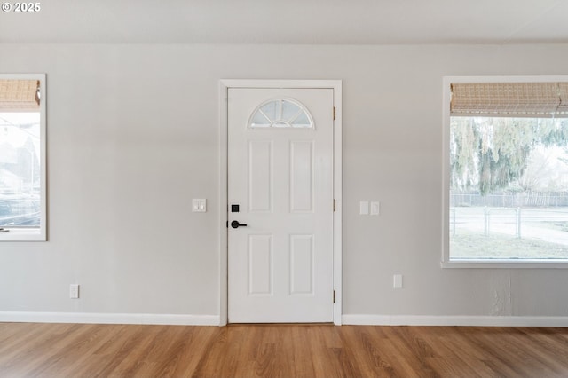 entryway featuring hardwood / wood-style floors and plenty of natural light