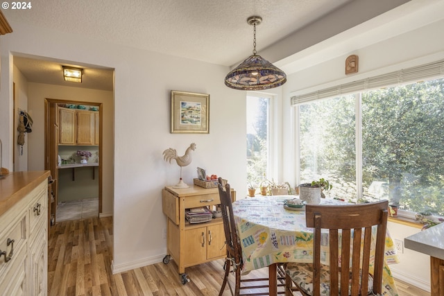 dining area with light hardwood / wood-style floors and a textured ceiling