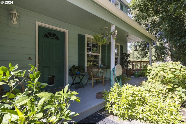 property entrance featuring covered porch