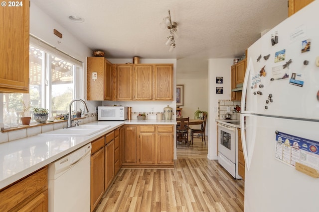 kitchen featuring white appliances, light hardwood / wood-style flooring, rail lighting, a textured ceiling, and sink