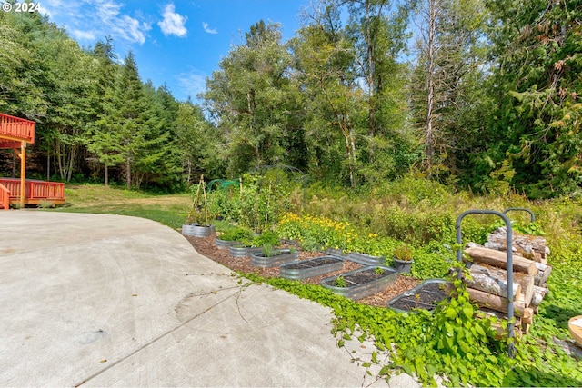 view of yard featuring a garden and a deck