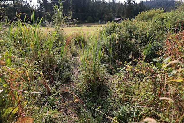 000 Territorial Hwy, Eugene, OR 97405
