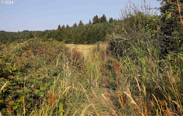 000 Territorial Hwy, Eugene, OR 97405
