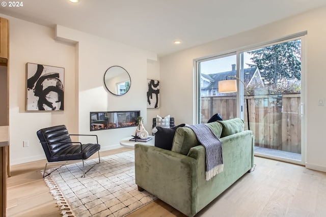 living room with hardwood / wood-style flooring