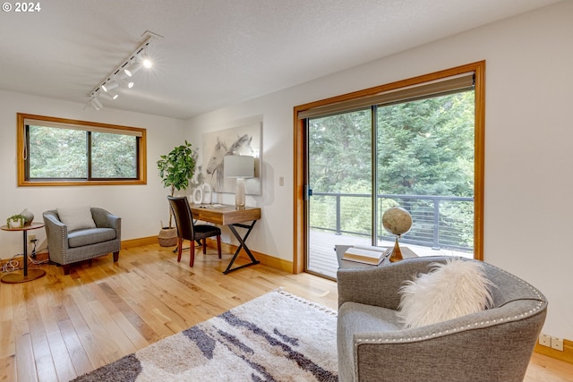 living room with light wood-type flooring, track lighting, and a healthy amount of sunlight