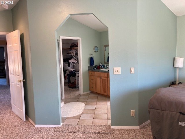 carpeted bedroom with sink and a walk in closet