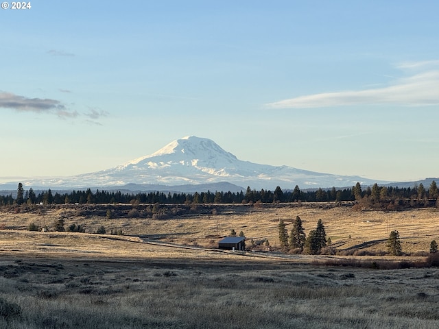 Lipo, Centerville WA, 98613 land for sale