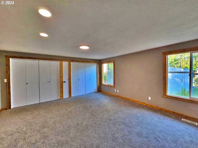 unfurnished bedroom featuring multiple windows, carpet flooring, and a textured ceiling