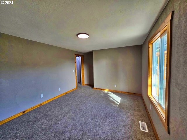 spare room featuring a wealth of natural light, a textured ceiling, and carpet floors