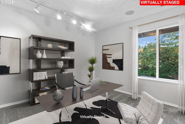 3501 SE 171st Ave, Vancouver, WA 98683 - home office with track lighting, carpet floors, and a textured ceiling