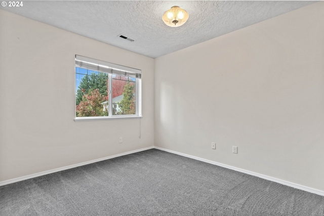 spare room with carpet and a textured ceiling