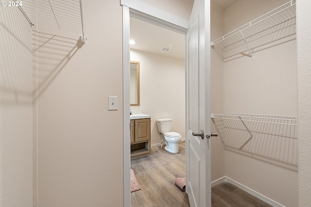 walk in closet with wood-type flooring