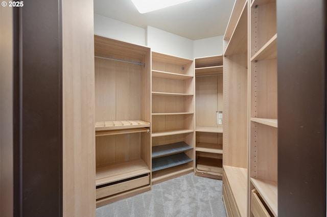 spacious closet with light carpet