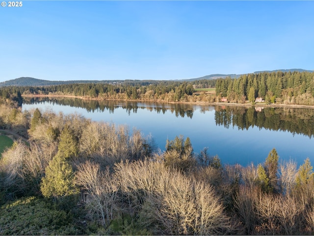 property view of water featuring a mountain view