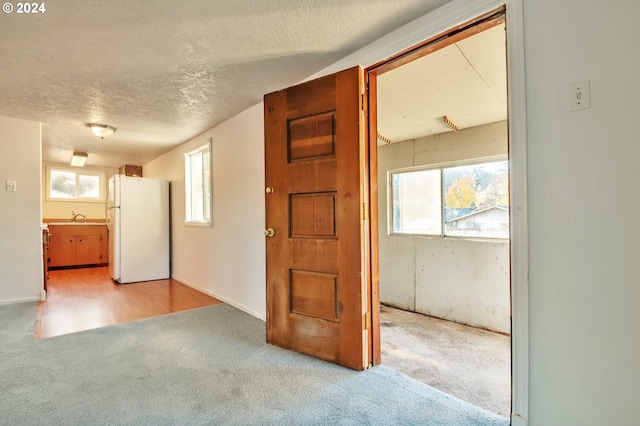 corridor featuring sink, light colored carpet, and a textured ceiling