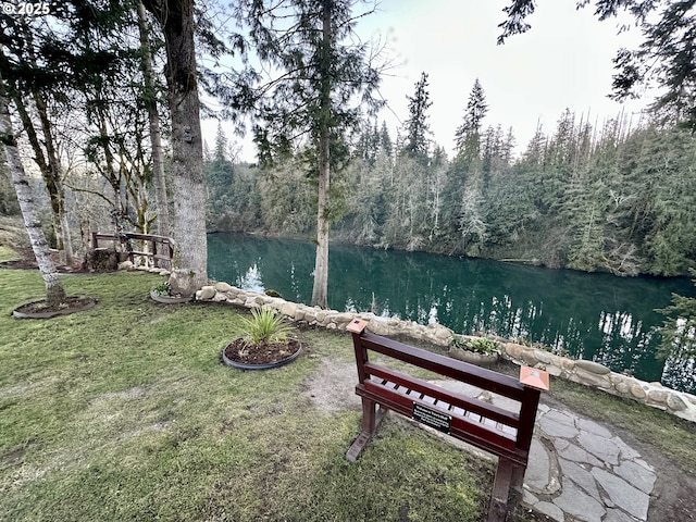 view of community featuring a water view and a yard