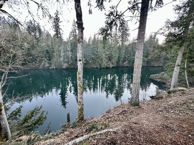 view of water feature