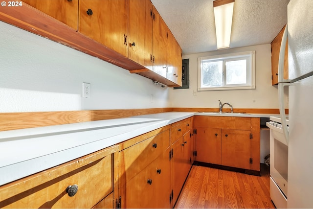 kitchen featuring sink, electric panel, a textured ceiling, white appliances, and light hardwood / wood-style flooring