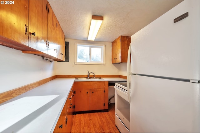 kitchen with sink, a textured ceiling, white appliances, and light hardwood / wood-style floors