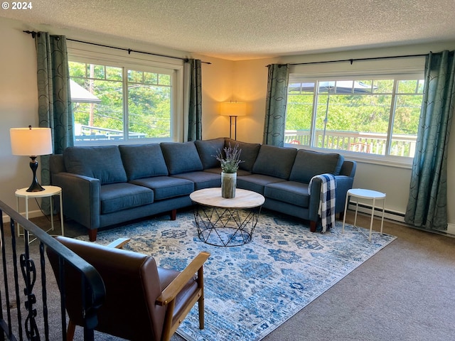 living room featuring carpet floors and a textured ceiling