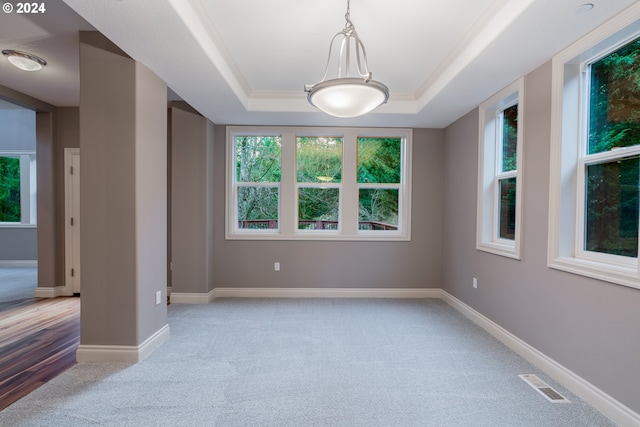 empty room with a tray ceiling, plenty of natural light, and light colored carpet