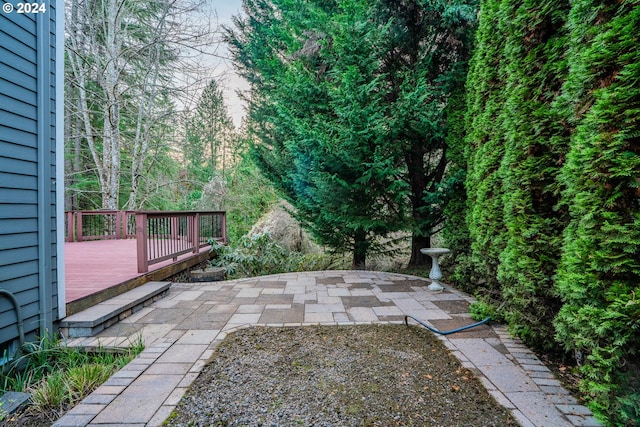 view of yard featuring a wooden deck and a patio area