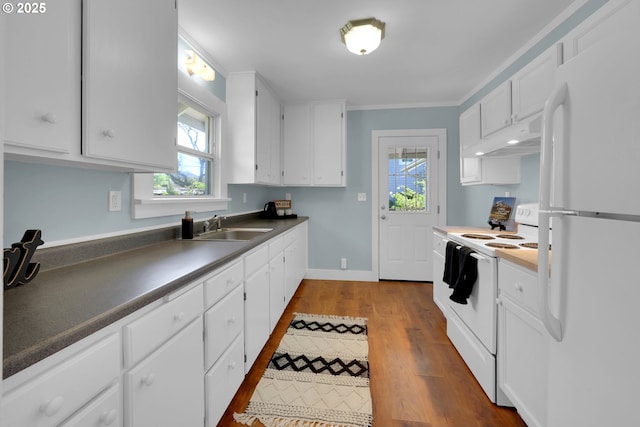 kitchen with under cabinet range hood, plenty of natural light, a sink, and white appliances