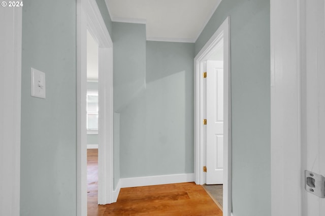 corridor with light hardwood / wood-style flooring and crown molding