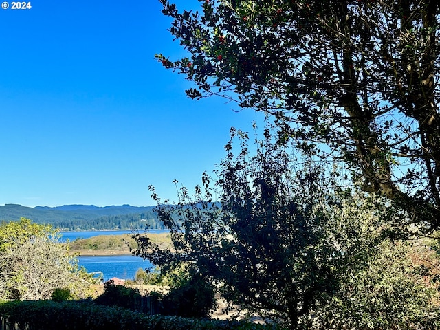 property view of mountains featuring a water view