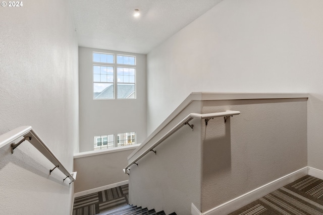 stairs with carpet flooring