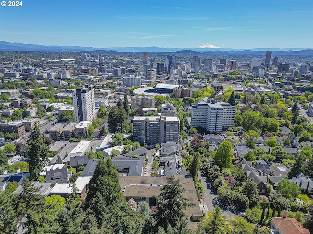 drone / aerial view featuring a mountain view