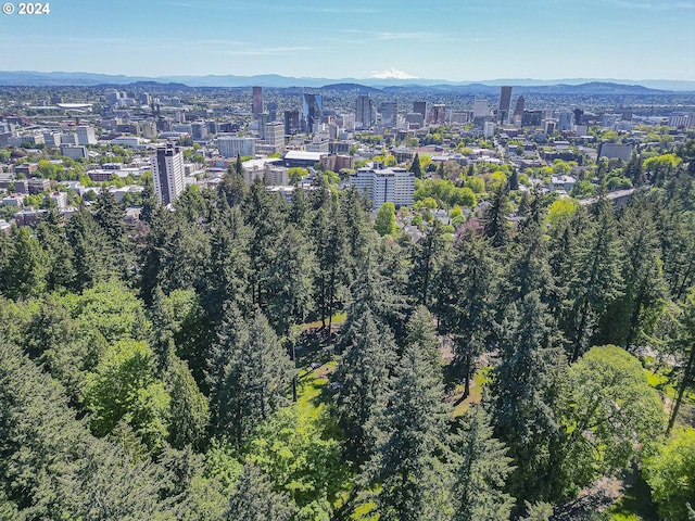 aerial view featuring a mountain view