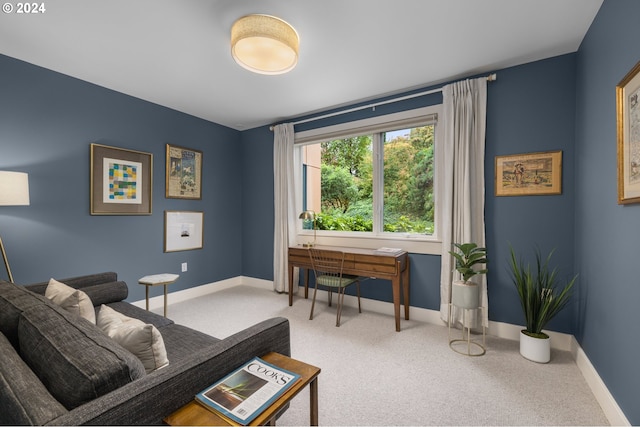 living area with carpet flooring and baseboards