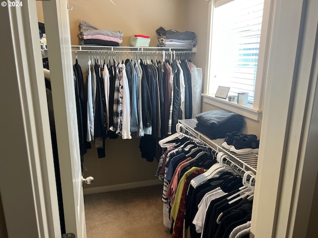 spacious closet with carpet flooring