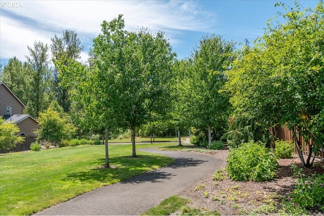 view of property's community with a yard