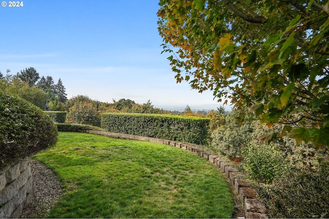 view of yard with a rural view