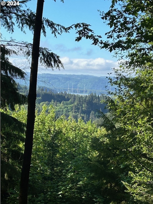 0 Carlon Loop Rd, Longview, WA 98632