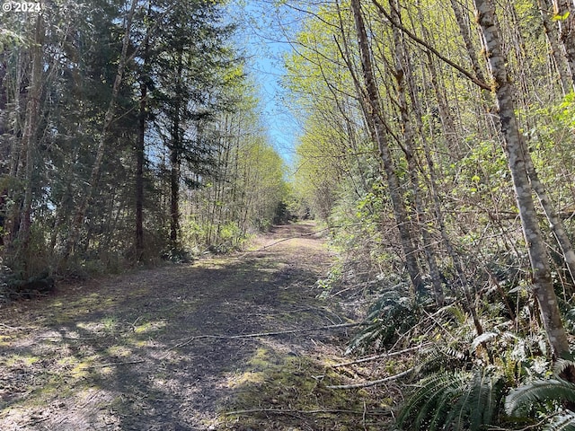 0 Carlon Loop Rd, Longview, WA 98632