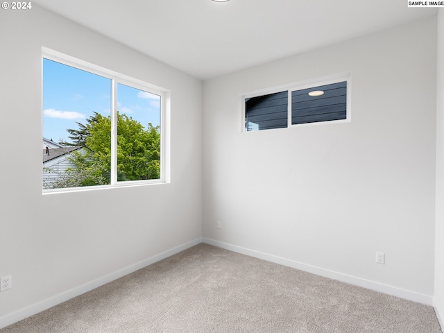 spare room featuring carpet floors