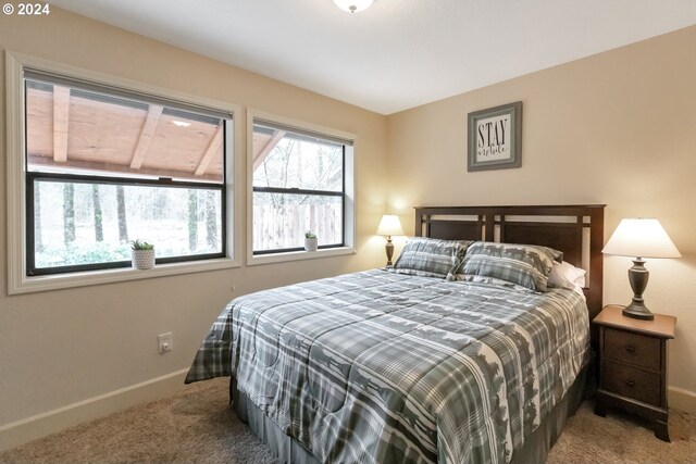 carpeted bedroom with multiple windows