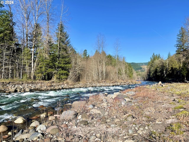 view of local wilderness featuring a water view