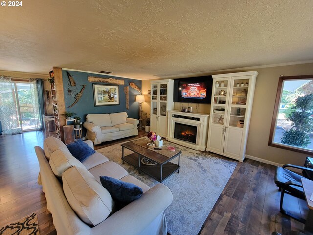 living room with a textured ceiling, plenty of natural light, and hardwood / wood-style floors