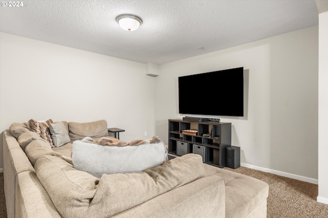 carpeted living room with a textured ceiling